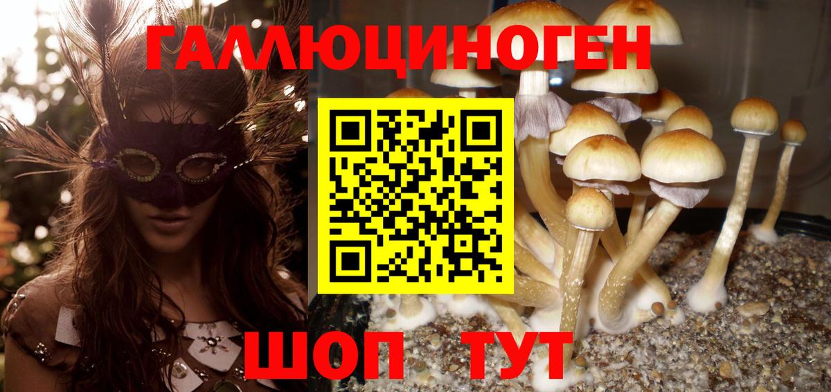 Псилоцибиновые грибы прущие грибы Нефтеюганск