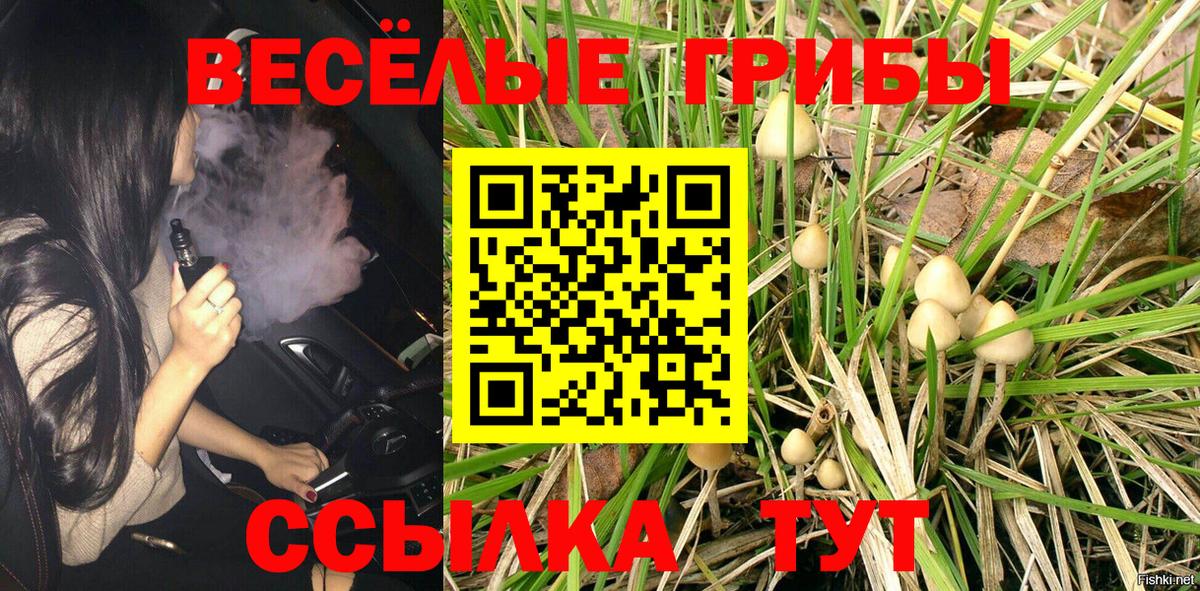 Псилоцибиновые грибы MAGIC MUSHROOMS  Вход с VPN  Нефтеюганск 